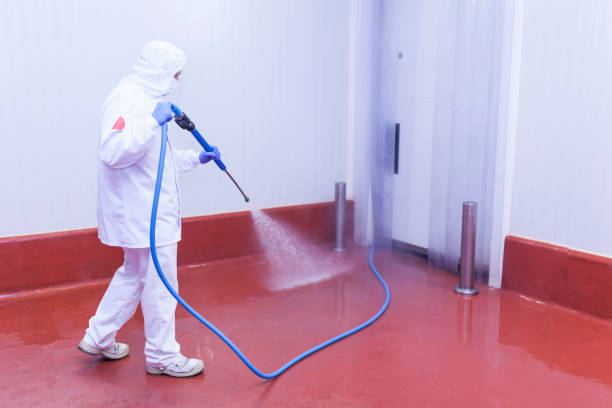 Best Paint Preparation  in Sprague, WV